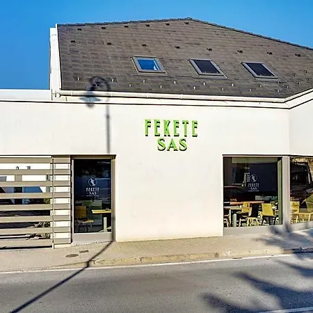 Fekete Sas B&B